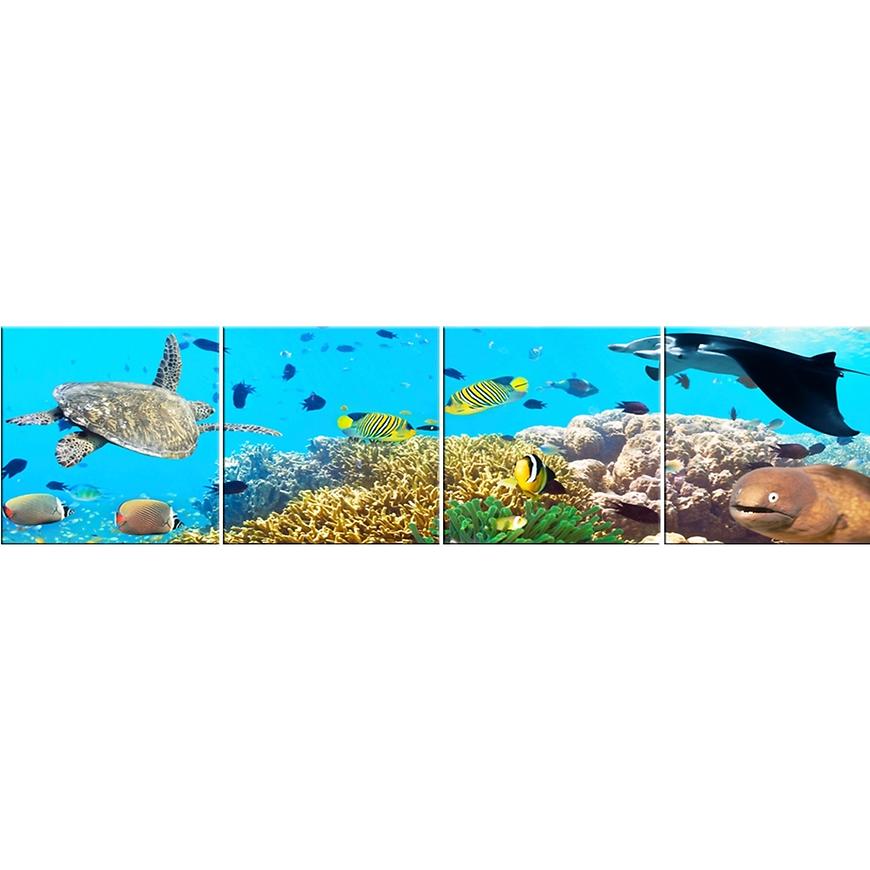 Skleněný panel 60/240 Aquarium-2 4-Elem MERKURY MARKET