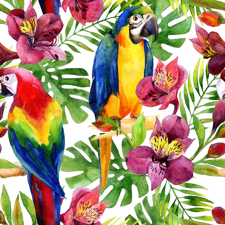 Skleněný panel 60/60 Jungle Birds-2 Esg AQUA MERCADO