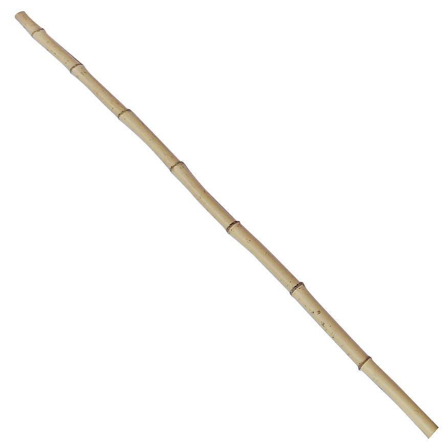Tyč Bambus 150 cm FI 3-4 cm Baumax