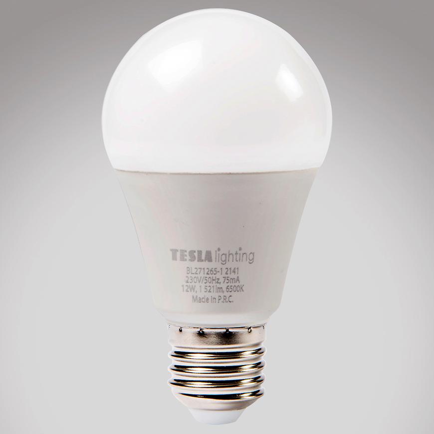 LED žárovka Bulb 12W E27 6500K TESLA LIGHTING