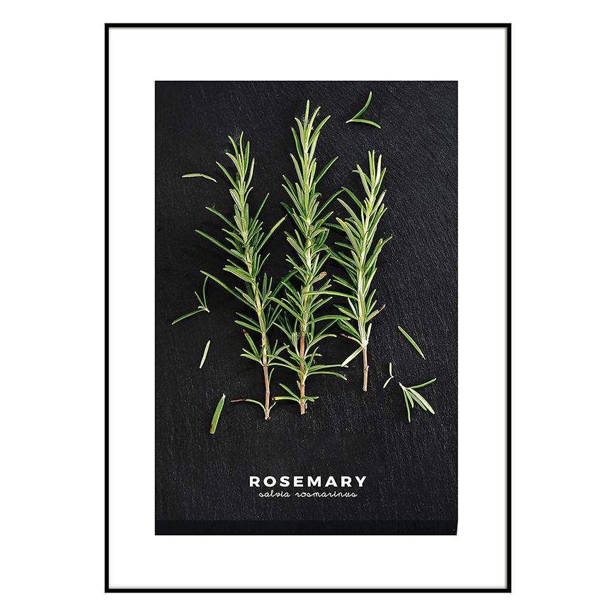 Obraz Artbox 50x70 AB181 Rosemary OB-14443 STYLER