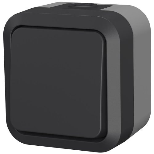 Vypínač 2-pólový na omítku Aqua Pro IP55 vodotěsný šedý DUWI